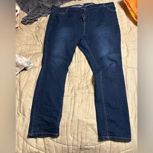 Woman Within Jeans -26W Tall